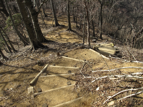20190108hike (344)